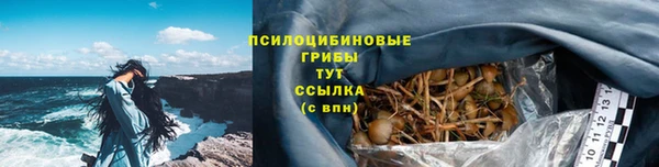 соль ск Сосновоборск