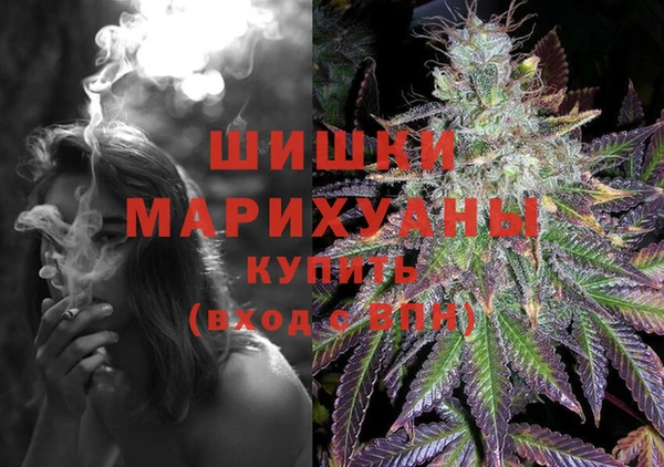 дурь Алзамай