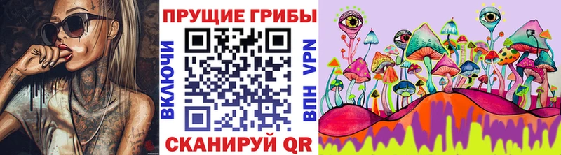 нарко площадка какой сайт  Долинск  Псилоцибиновые грибы Psilocybe 